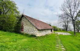 Spatiu pentru bistro/ cafenea/ club, 158 mp, zona Cetatuie