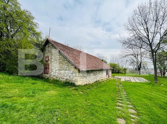 Spațiu comercial de închiriat Central - 114371SIC | BLITZ Cluj-Napoca | Poza8