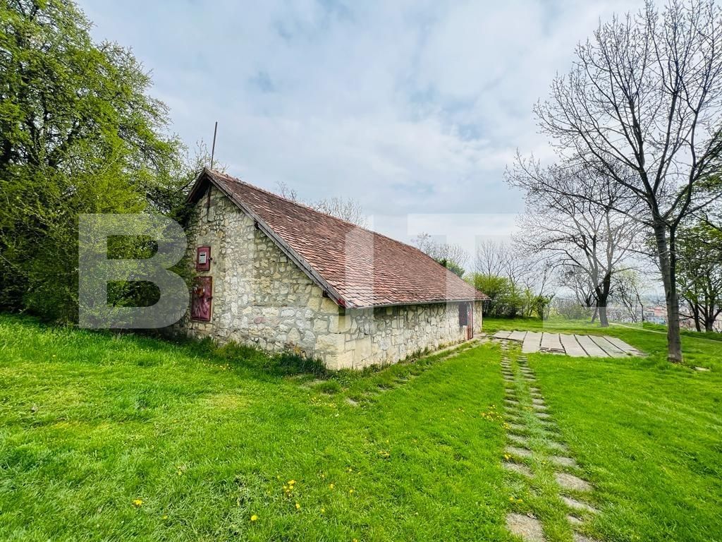 Spațiu comercial de închiriat Central - 114371SIC | BLITZ Cluj-Napoca | Poza8