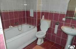 1 camera, 46 mp utili, mobilat modern, imobil nou, zona Garii