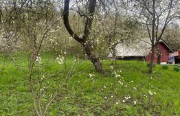 Teren 784 mp, Nistoresti, jud Prahova