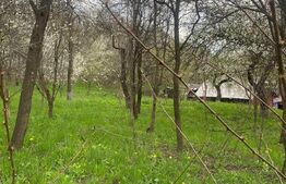 Teren 784 mp, Nistoresti, jud Prahova