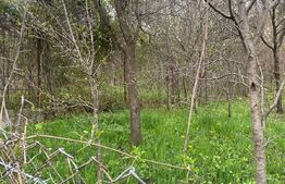 Teren 784 mp, Nistoresti, jud Prahova