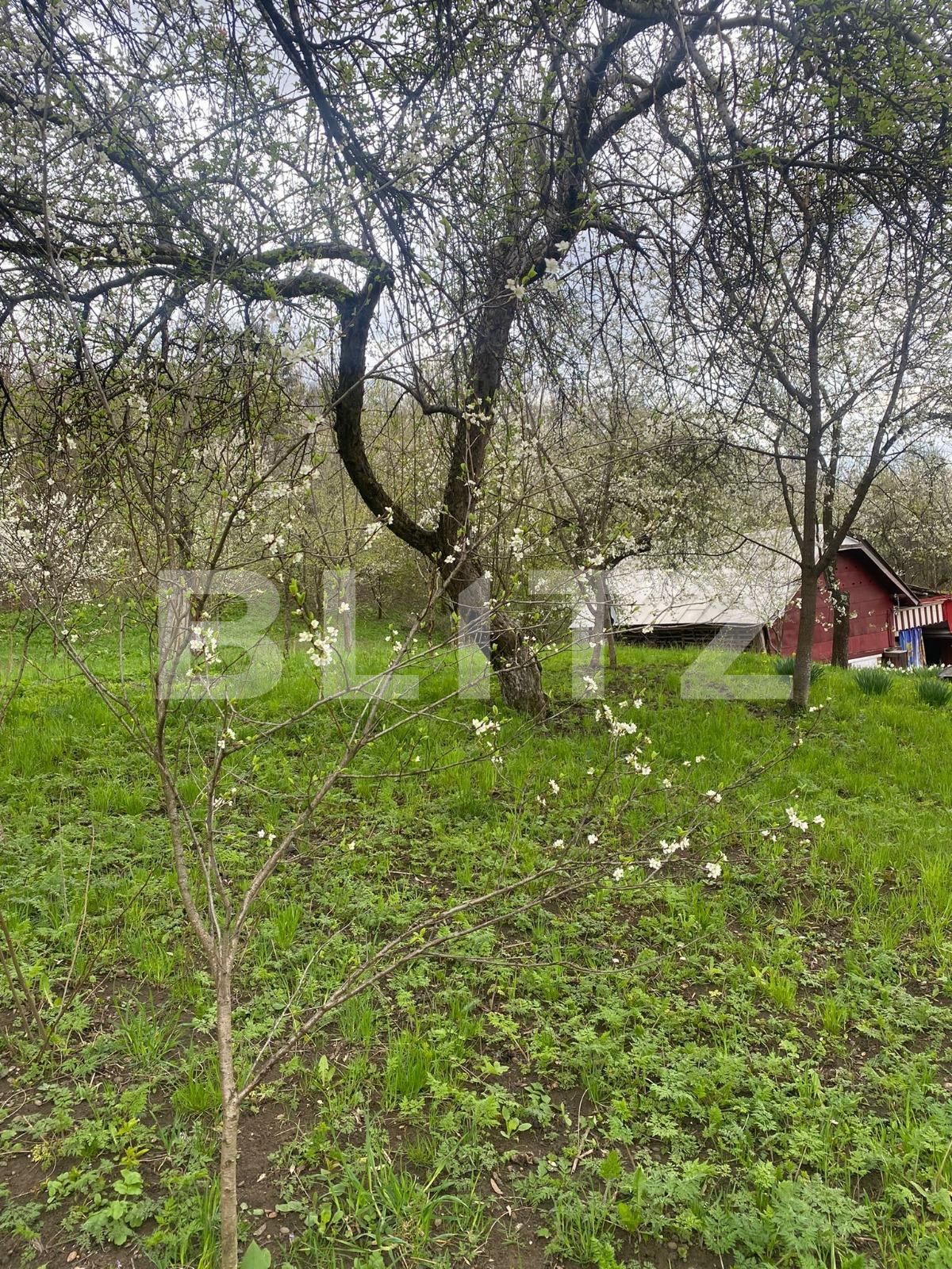 Teren de vânzare Exterior Sud - 114411TV | BLITZ Brașov | Poza2