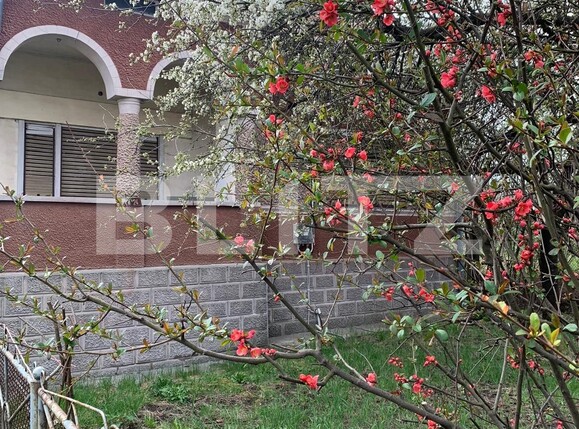 casa cu teren mare | Poza2