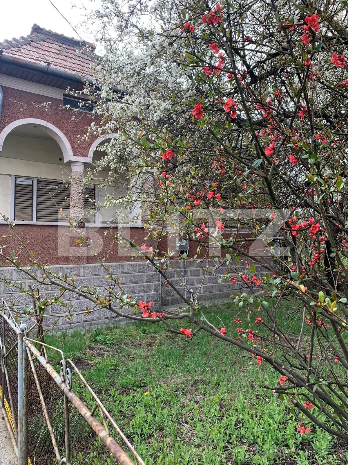 casa cu teren mare | Poza2