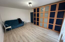 Apartament 1 camera, 42 mp, petfriendly, zona Calea Dorobantilor