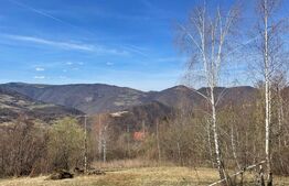 Ocazie! Teren intravilan 1600 mp, la Muntele Rece