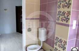 Inchiriere 2 camere, 60 mp, terasa 27 mp, zona Teilor!Partial Mobilat!