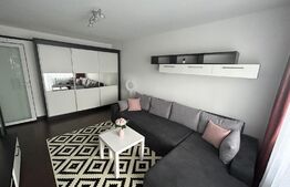 Apartament 2 camere, prima inchiriere, 56 mp, parcare, zona strazii Dunarii