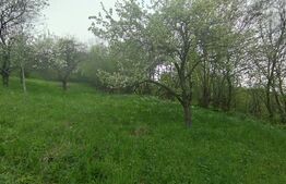 Teren 1145 mp, construibil imediat, asfalt, priveliste, toate utilitatiile, Feleacu