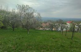 Teren 1145 mp, construibil imediat, asfalt, priveliste, toate utilitatiile, Feleacu