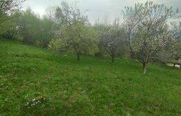 Teren 1145 mp, construibil imediat, asfalt, priveliste, toate utilitatiile, Feleacu