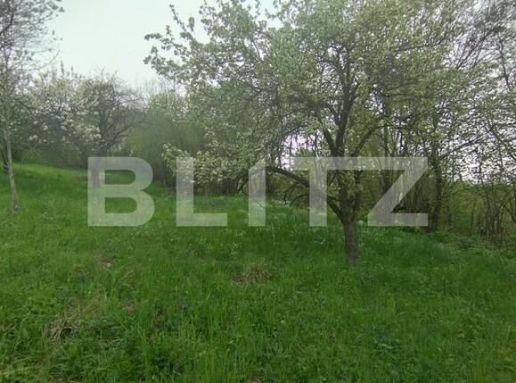Teren de vânzare Feleacu - 114588TV | BLITZ Cluj-Napoca | Poza4