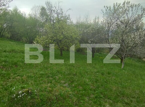 Teren de vânzare Feleacu - 114588TV | BLITZ Cluj-Napoca | Poza2
