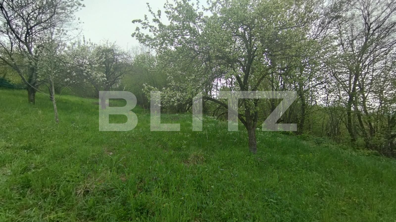 Teren de vânzare Feleacu - 114588TV | BLITZ Cluj-Napoca | Poza4