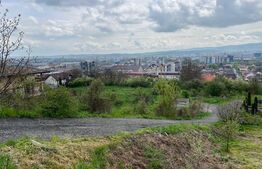 Teren Intravilan cu Puz in Iris 2933 mp