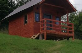 Casa cu teren de 2330 mp, anexa de 15 mp, zona Muntele Rece