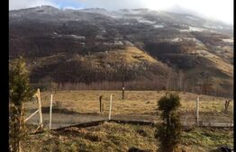 Casa cu teren de 2330 mp, anexa de 15 mp, zona Muntele Rece