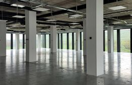 Spatii de birou Clasa A, parcari subterane, fatada LCD Media, Zona Vivo!