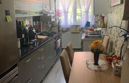 Casa la cheie, 100 mp utili, zona Maramuresului