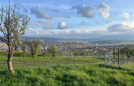 Teren Dambul Rotund 1354mp zona Colonia Breaza