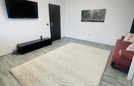 Apartament 2 camere, 46mp, etaj intermediar, zona Eroilor