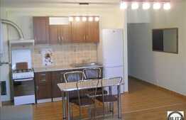 Apartament cu 2 camere de inchiriat in zona Buna Ziua