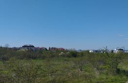 Teren 564 m, cu PUZ in lucru, Buna Ziua, zona Mihai Romanul