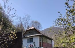 Casa 3 camere, 80mp, Schei 