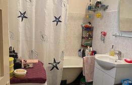 Apartament 2 camere, 75mp, Centrul Istoric, Pretabil Investiţie 