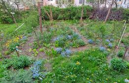 Apartament 2 camere, 39 mp, semidecomandat, zona Tractorul 