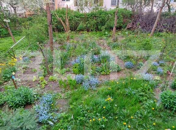 Apartament de vânzare 2 camere Tractorul - 114961AV | BLITZ Brașov | Poza6