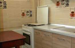 Apartament cu 1 camera, 30 mp utili, zona strazii N. Titulescu!