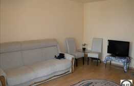 Apartament cu 1 camera, 30 mp utili, zona strazii N. Titulescu!