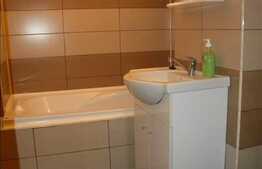 Apartament cu 1 camera, 30 mp utili, zona strazii N. Titulescu!