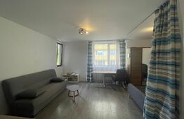 Apartament 1 camera, nisa de dormit, parcare, zona Hasdeu