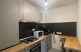 Apartament 1 camera, nisa de dormit, parcare, zona Hasdeu