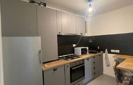 Apartament 1 camera, nisa de dormit, parcare, zona Hasdeu