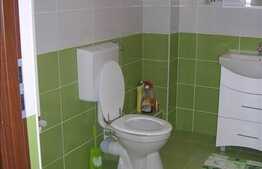 1 camera, 45 mp utili, imobil nou, mobilat modern, zona strazii Borhanciului