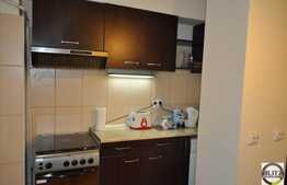 Apartament 3 camere, 90 mp utili, mobilat dragut, zona bulevardului N. Titulescu