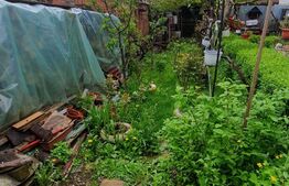 Casa 54 mp + 58 mp curte comuna, zona str. Paris!