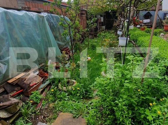 Casa de vânzare 2 camere Marasti - 115067CV | BLITZ Cluj-Napoca | Poza7