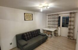 Garsonieră 22 mp, balcon, orientare S, zona Bulevardul Muncii