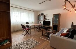 Apartament 3 camere, terasa, zona Campului, la cheie! 