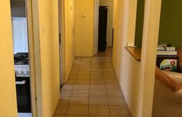 Casa individuala 85 mp, Taietura Turcului