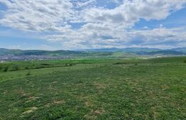 Teren extravilan in zona centurii Nord(Donath)