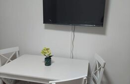 Garsoniera de 22 mp, mobilata si utilata, zona B-dul. Muncii