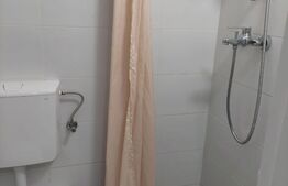 Garsoniera de 22 mp, mobilata si utilata, zona B-dul. Muncii