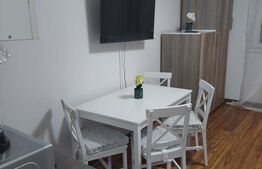 Garsoniera de 22 mp, mobilata si utilata, zona B-dul. Muncii